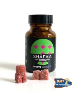 Shafaa Evolve Magic Mushroom Microdosing Gummy Bears
