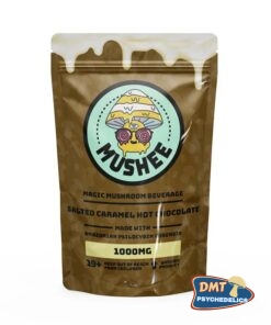 Magic Mushroom Salted Caramel Hot Chocolate Drink Mix – 1000MG – Mushee