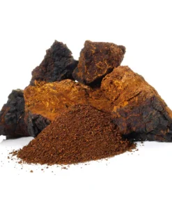 Alternative view of Stay Wyld Organics – Chaga Mushroom Capsules (Bottle of 60)