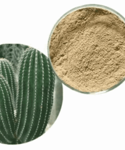 Buy San Pedro Powder Online