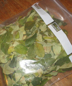 Buy Coca Leaves Online in the UK