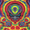 Buy LSD Jammin Skull
